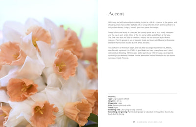 Daffodils: Beautiful Varieties for Home & Garden by Naomi Slade - Gibbs Smith