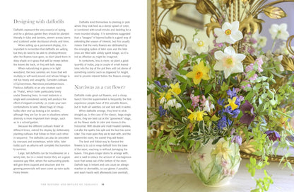 Daffodils: Beautiful Varieties for Home & Garden by Naomi Slade - Gibbs Smith