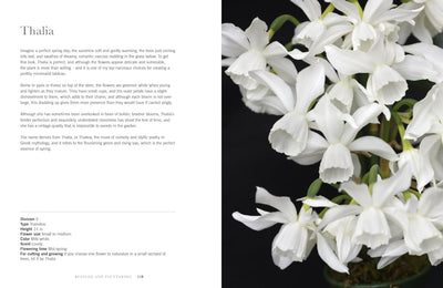 Daffodils: Beautiful Varieties for Home & Garden by Naomi Slade - Gibbs Smith
