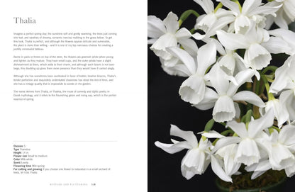 Daffodils: Beautiful Varieties for Home & Garden by Naomi Slade - Gibbs Smith