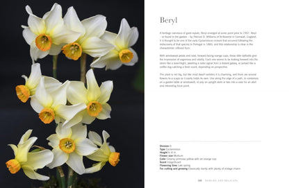 Daffodils: Beautiful Varieties for Home & Garden by Naomi Slade - Gibbs Smith