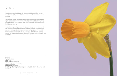 Daffodils: Beautiful Varieties for Home & Garden by Naomi Slade - Gibbs Smith