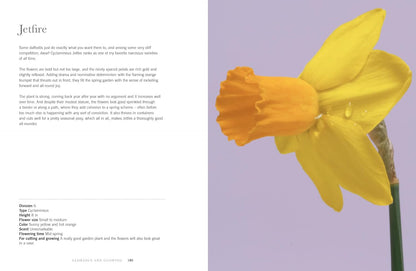 Daffodils: Beautiful Varieties for Home & Garden by Naomi Slade - Gibbs Smith