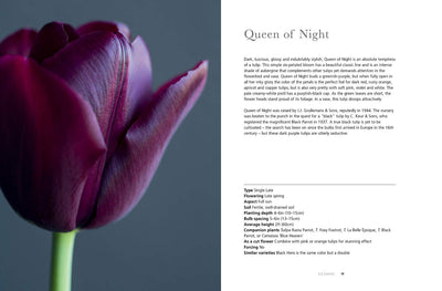 Tulips: Beautiful Varieties for Home & Garden by Jane Eastoe - Gibbs Smith