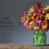Tulips: Beautiful Varieties for Home & Garden by Jane Eastoe - Gibbs Smith