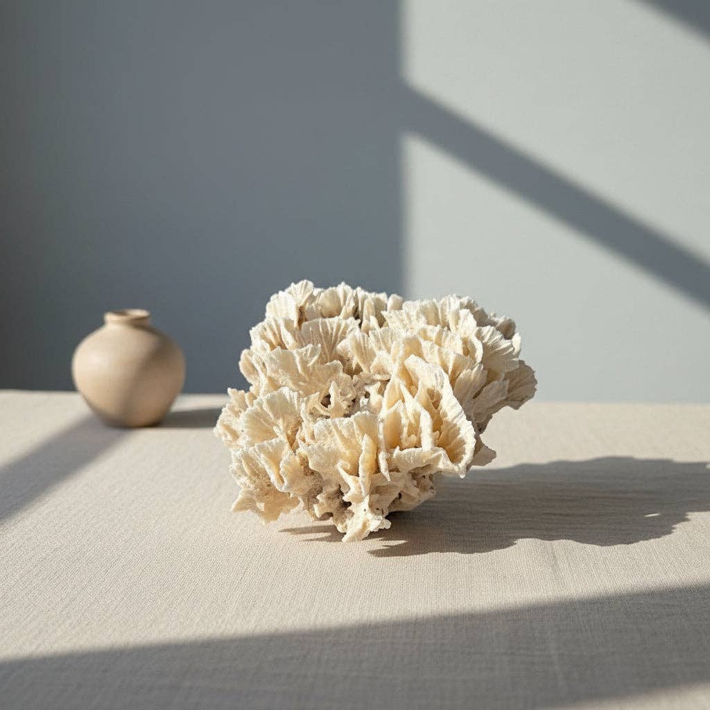 Vintage Rugosa Coral Specimen - Coastal Home Decor (Pachyseris rugosa): 7-8"