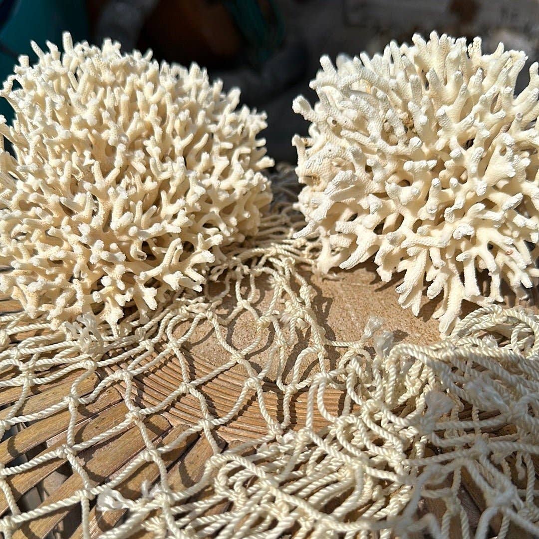 Vintage Birdsnest Coral Cluster- Coastal Home Decor: 6-7"