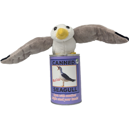 Matilda the Canned Seagull, Foil Lid