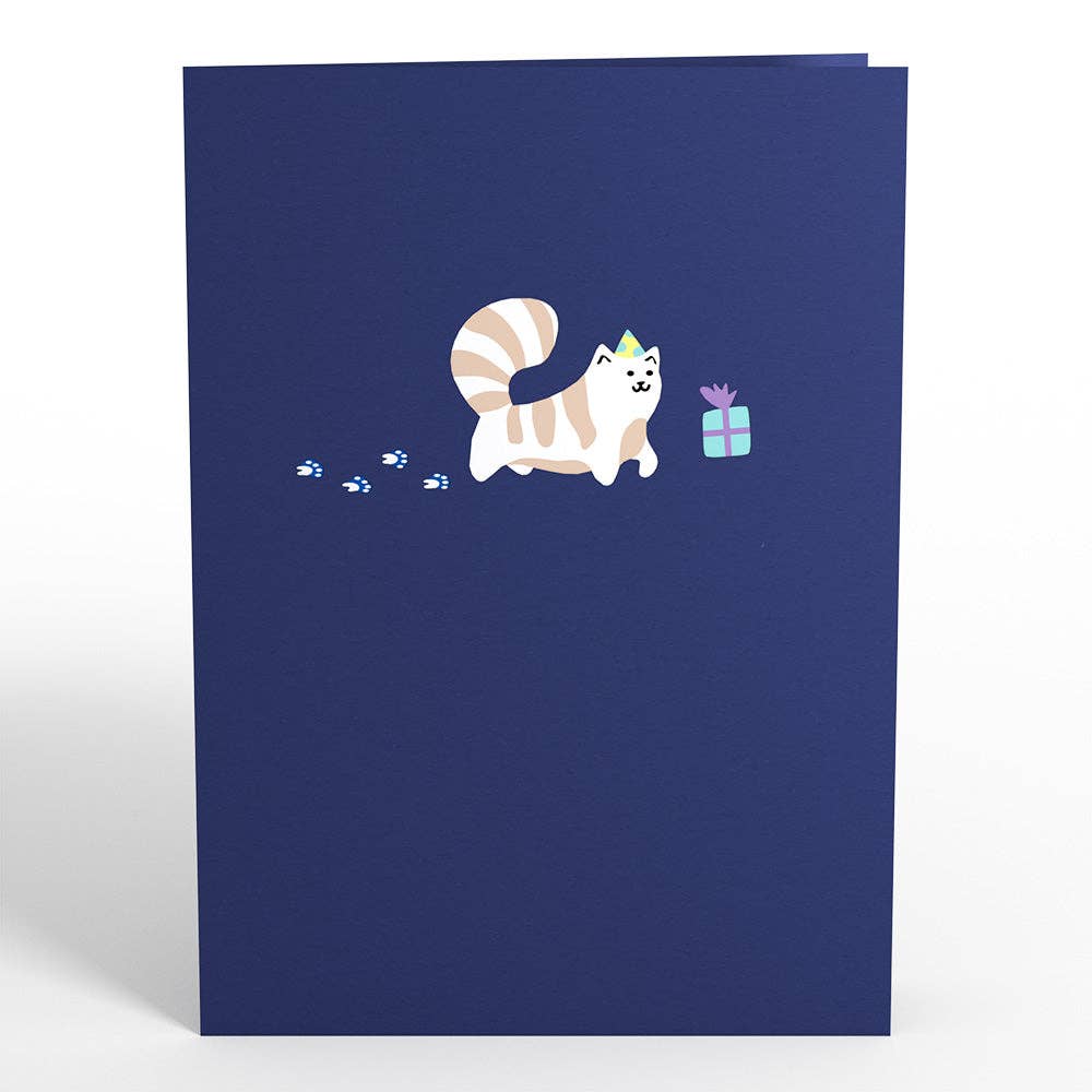 Playful Cats Birthday Pop-Up Card 5in x 7in