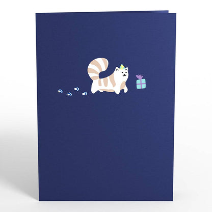 Playful Cats Birthday Pop-Up Card 5in x 7in