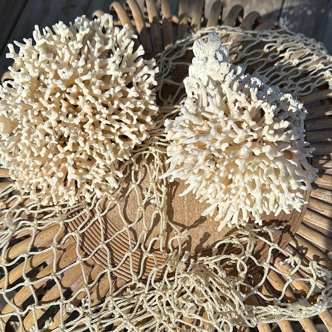 Vintage Birdsnest Coral Cluster- Coastal Home Decor: 6-7"