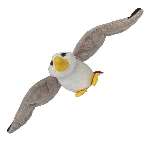 Matilda the Canned Seagull, Foil Lid