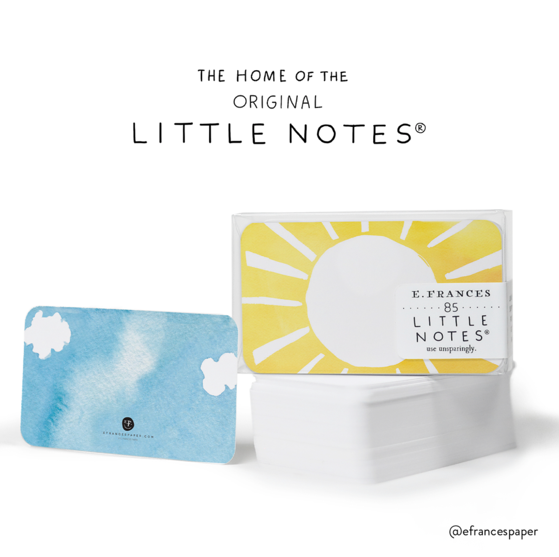 Pickleball Little Notes - E. Frances Paper (85 cards, 3.5in x 2.5in)