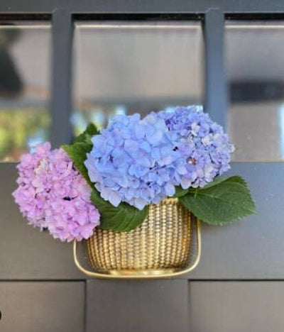 Nantucket Basket Brass Door Knocker - Michael Healy Designs