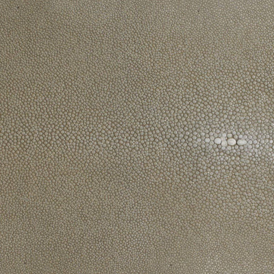 Taupe, Hazel Classic Saddle Bag - Vivo