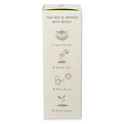 Fresh Picked Basil Diffuser, Plant The Box Collection - KOBO Candles (4oz)