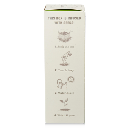 Fresh Picked Basil Diffuser, Plant The Box Collection - KOBO Candles (4oz)