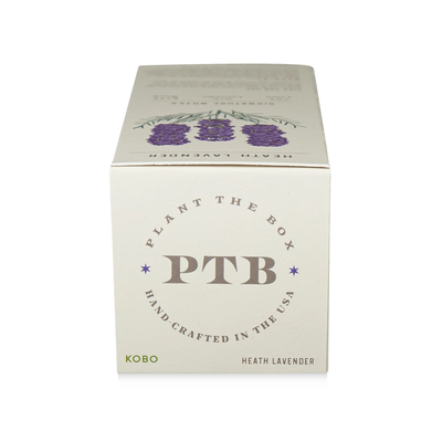 Heath Lavender Diffuser, Plant The Box Collection - KOBO Candles (4oz)