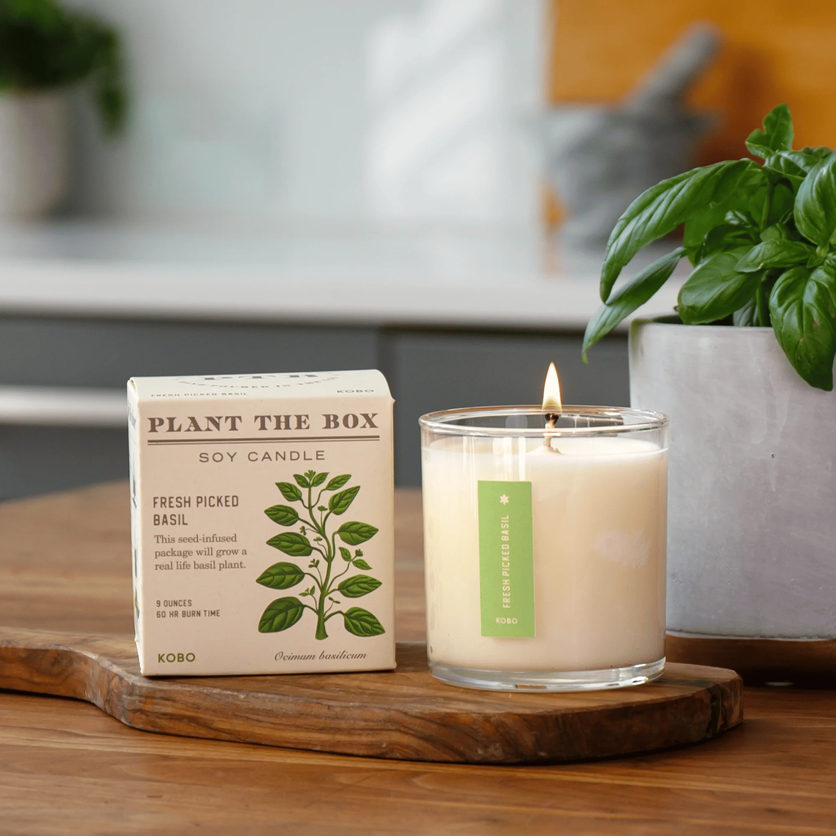 Fresh Picked Basil Candle, Plant The Box Collection - KOBO Candles (9oz)