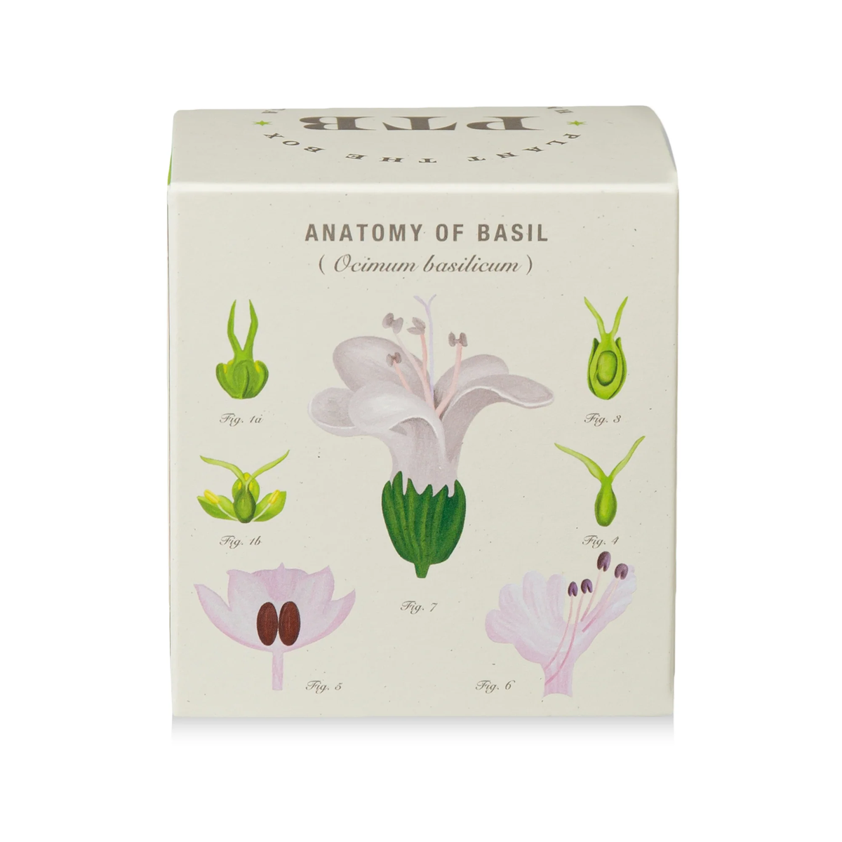 Fresh Picked Basil Candle, Plant The Box Collection - KOBO Candles (9oz)