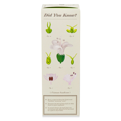 Fresh Picked Basil Diffuser, Plant The Box Collection - KOBO Candles (4oz)