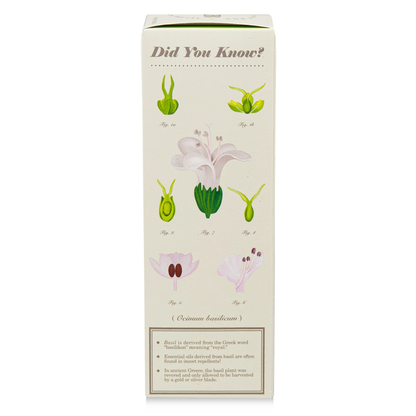 Fresh Picked Basil Diffuser, Plant The Box Collection - KOBO Candles (4oz)