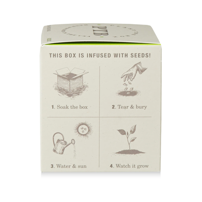 Fresh Picked Basil Candle, Plant The Box Collection - KOBO Candles (9oz)