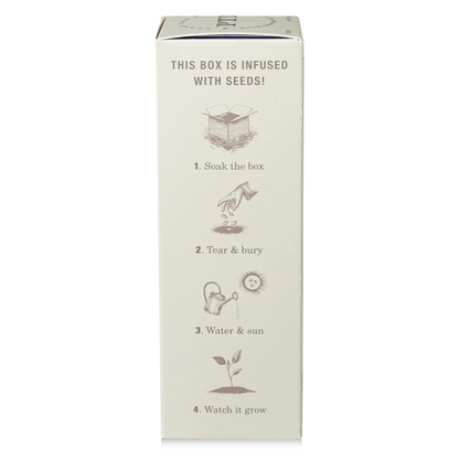 Heath Lavender Diffuser, Plant The Box Collection - KOBO Candles (4oz)