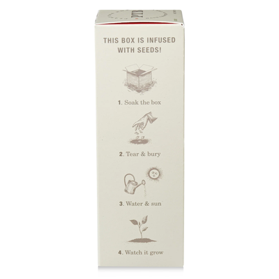 Wild Tomato Vine Diffuser, Plant The Box Collection - KOBO Candles (4oz)