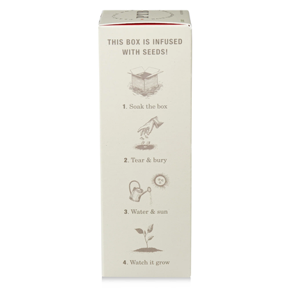 Wild Tomato Vine Diffuser, Plant The Box Collection - KOBO Candles (4oz)