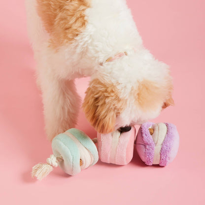 Macarons Interactive Snuffle Dog Toy - The Foggy Dog