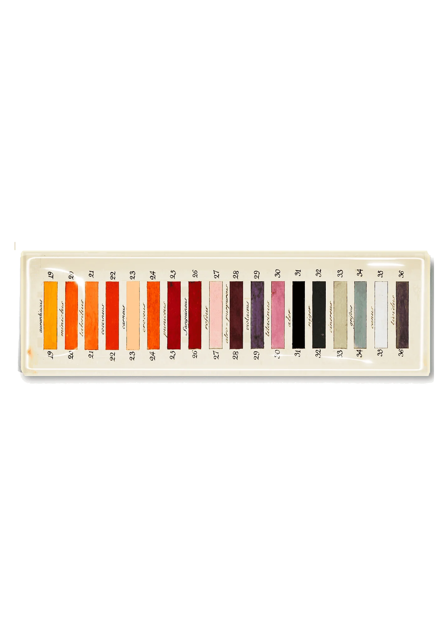 Paint Palette Decoupage Glass Tray (6in x 12in)