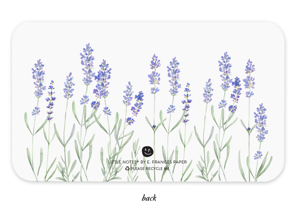 Place Cards, Lavender - E. Frances Paper (85 notes, 3.5in x 2.5in)