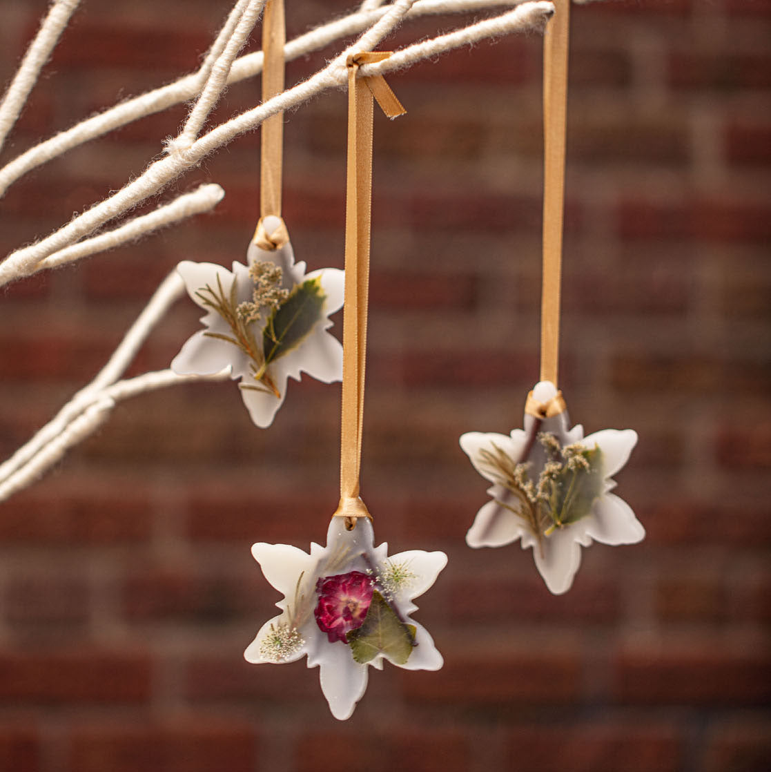 Botanical Snowflake, Forest - Rosy Rings (Sachet)