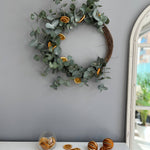 Natural Dried Oranges