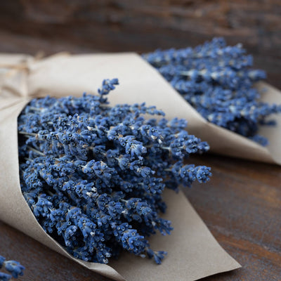French Lavender, Dried on Stem (6oz / 170g)