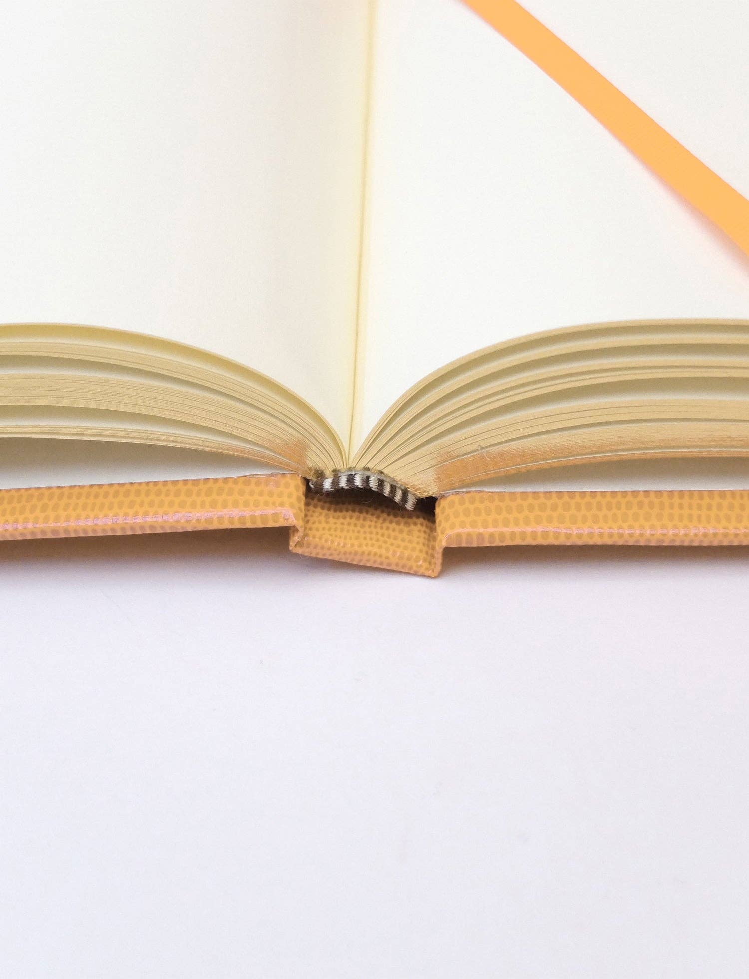 Guest Book, Beach House - Sloane Stationary (21.5cm x 14.5cm)