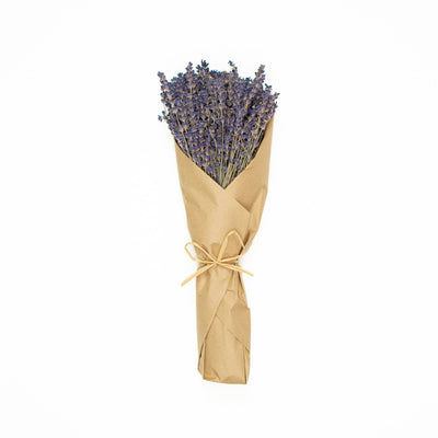 French Lavender, Dried on Stem (6oz / 170g)
