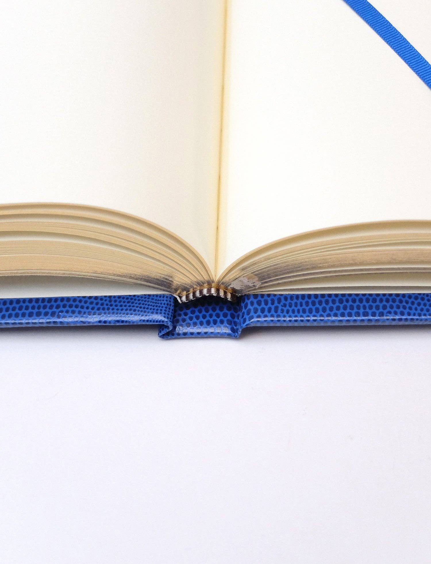 Guest Book, Drop Anchor - Sloane Stationary (21.5cm x 14.5cm)