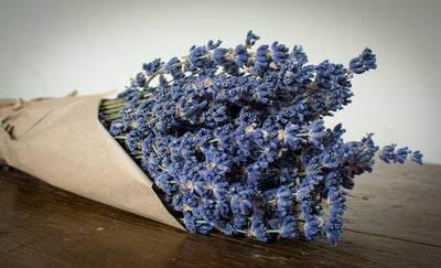 French Lavender, Dried on Stem (6oz / 170g)