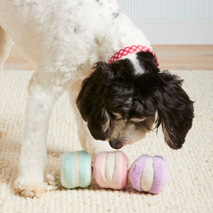 Macarons Interactive Snuffle Dog Toy - The Foggy Dog