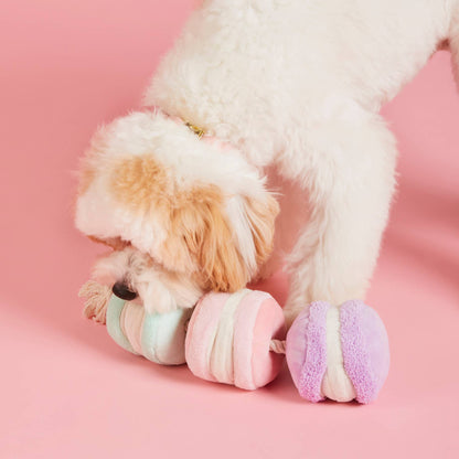 Macarons Interactive Snuffle Dog Toy - The Foggy Dog