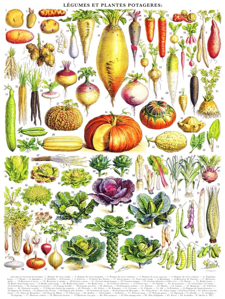Jigsaw Puzzle, Vegetables ~ Légumes - New York Puzzle Company (1,000 pieces)