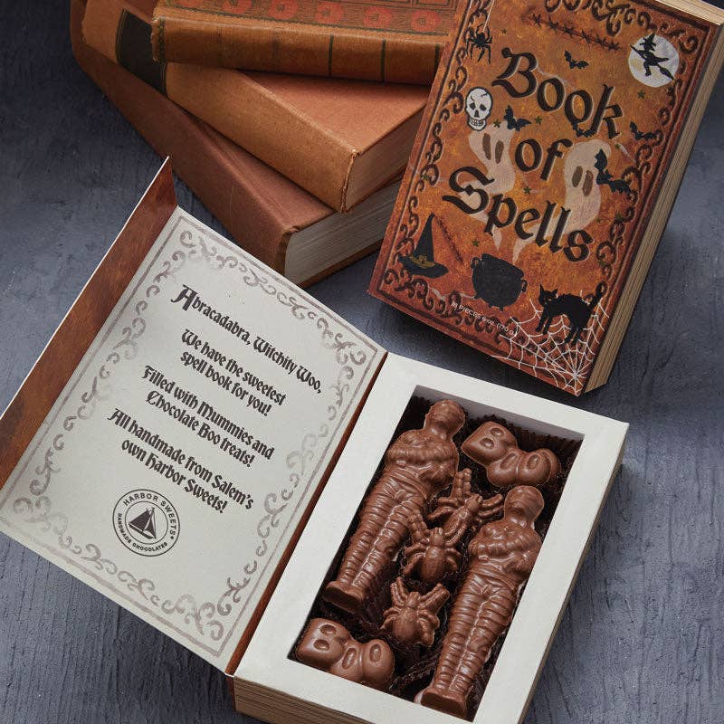 Chocolate Book of Spells (18 pieces, 4.8oz / 135g)
