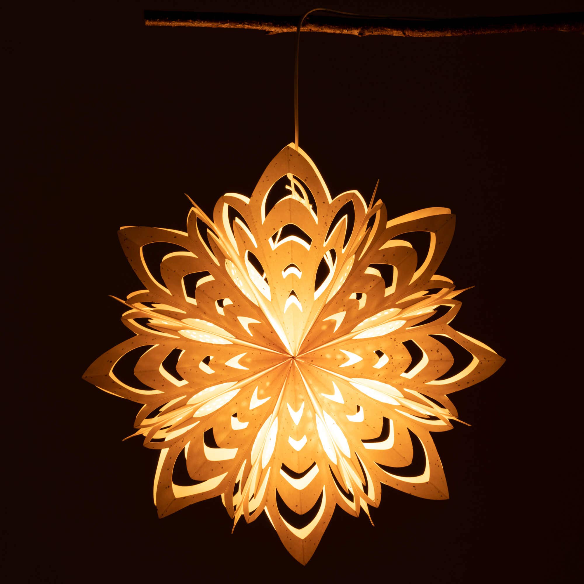 Paper Snowflake, Geometric (19in dia)