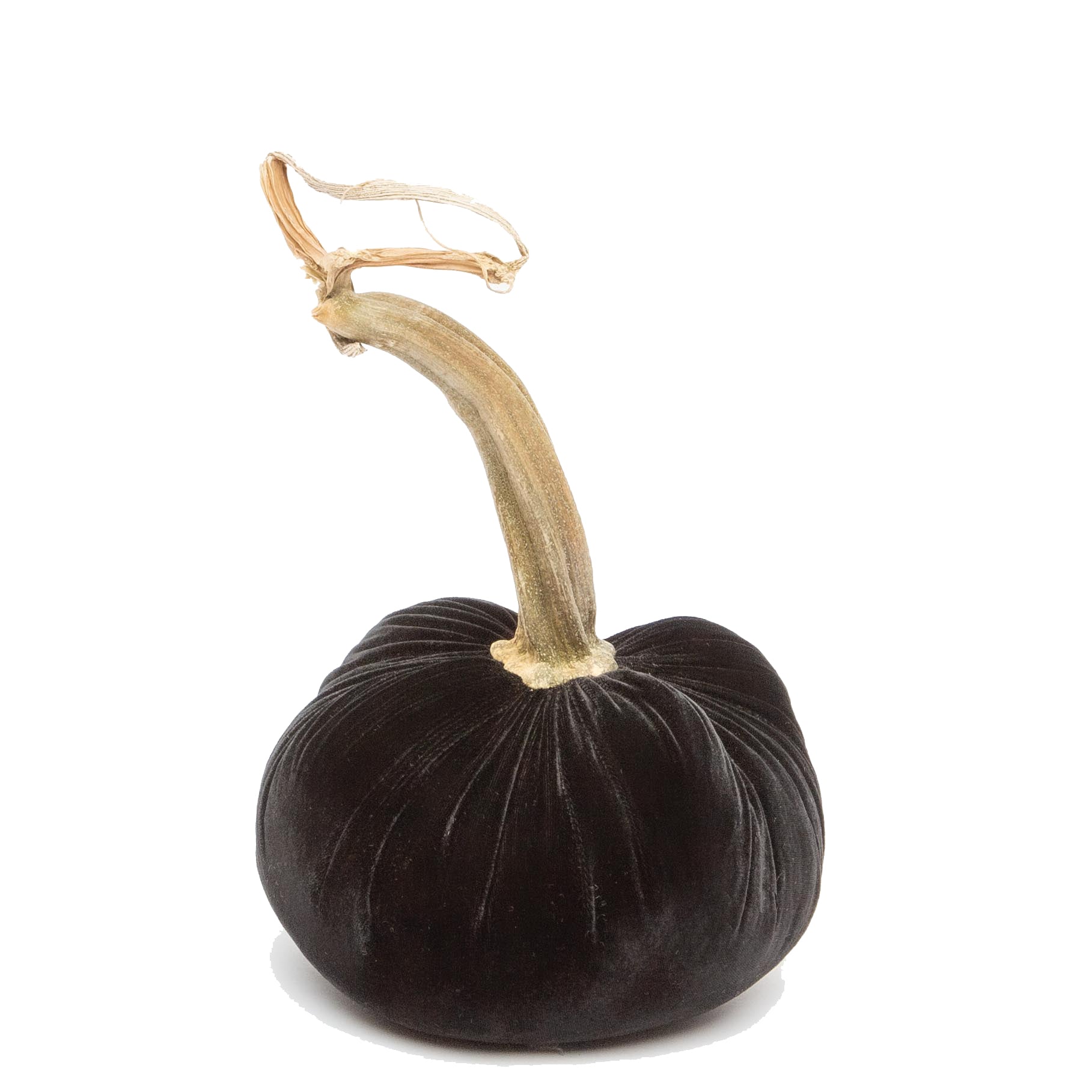 4-in Pumpkin, Ebony Velvet